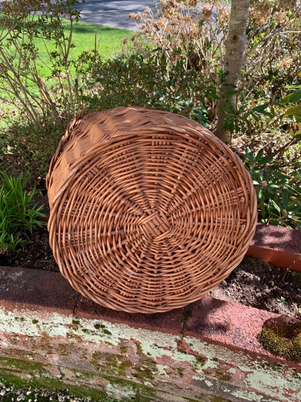 Vintage Wicker Woven Natural Brown Pet Basket